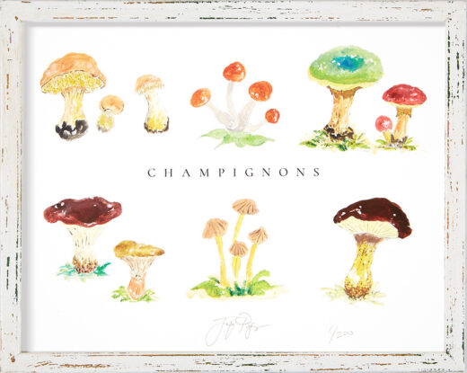 “Champignons” framed limited edition Jacques Pepin print. Individually signed and numbered.