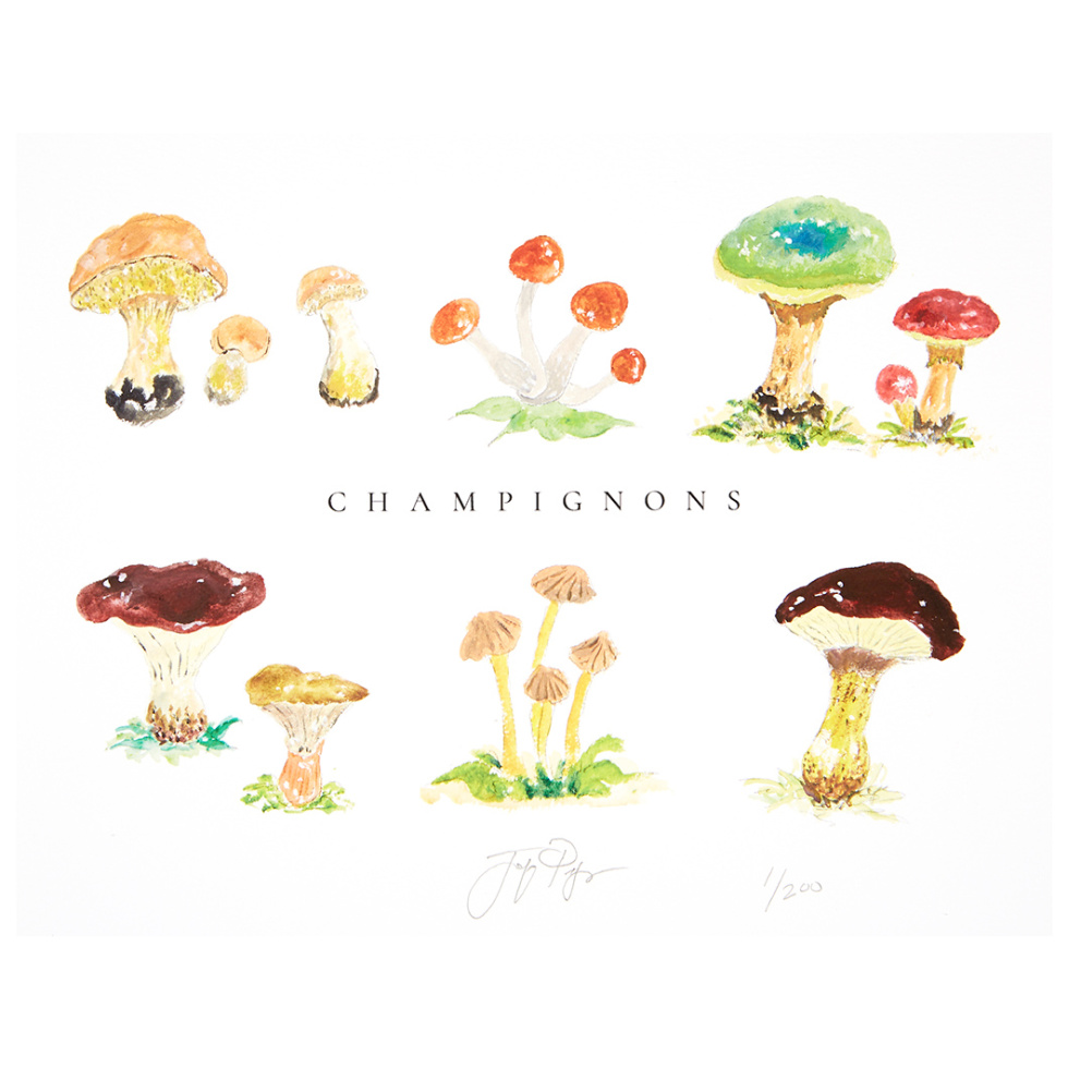 “Champignons” unframed limited edition Jacques Pepin print. Individually signed and numbered.