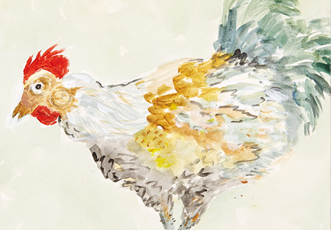 “Curious Chicken” is an original painting by chef and artist Jacques Pepin