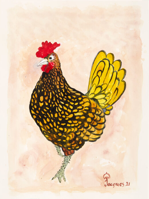 “The Proud Cock” is an original painting by chef and artist Jacques Pepin