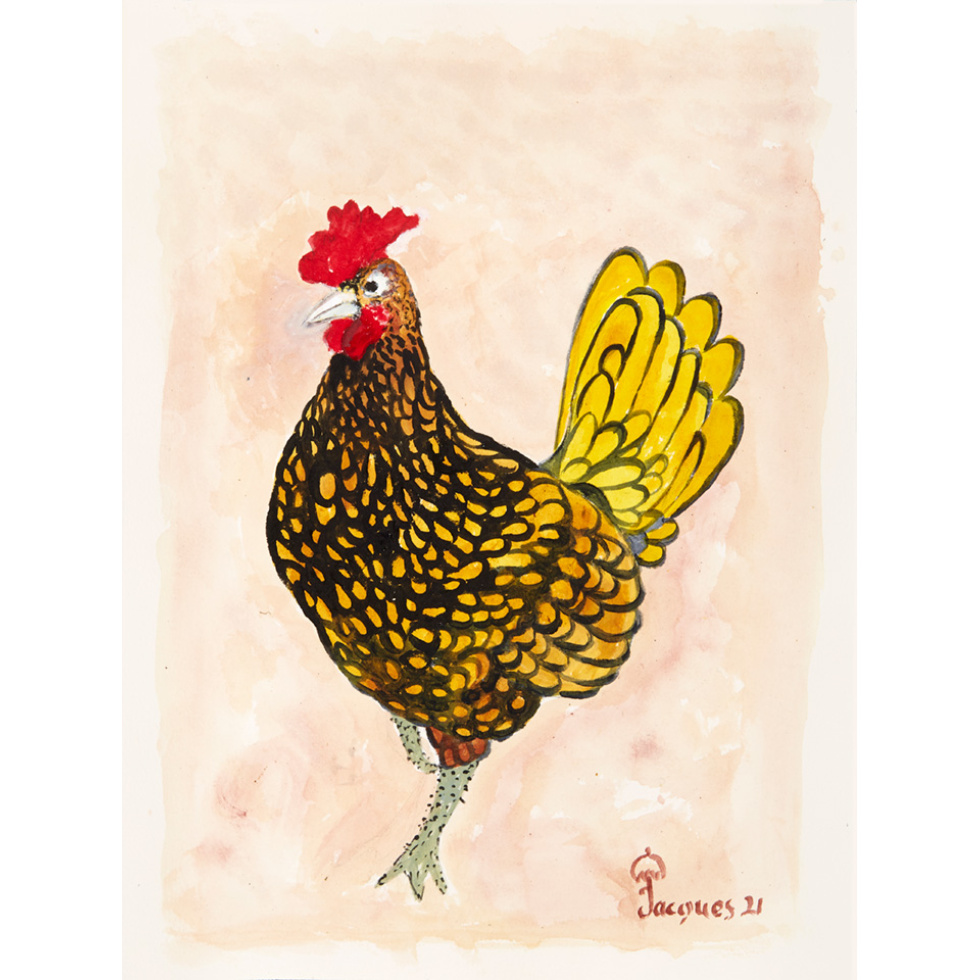 “The Proud Cock” is an original painting by chef and artist Jacques Pepin