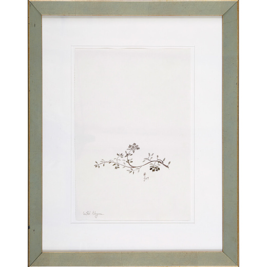 “Wild Thyme” is an original painting by chef and artist Jacques Pepin