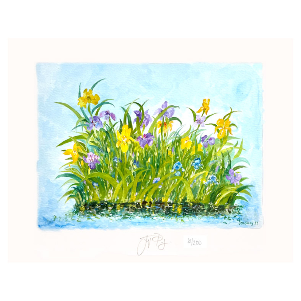 “Irises” Jacques Pepin Signed Fine Art Print