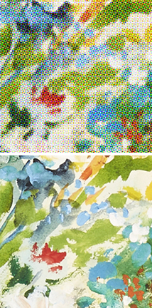 Halftone vs. Giclée Continous Tone Comparison on The Artistry of Jacques Pepin