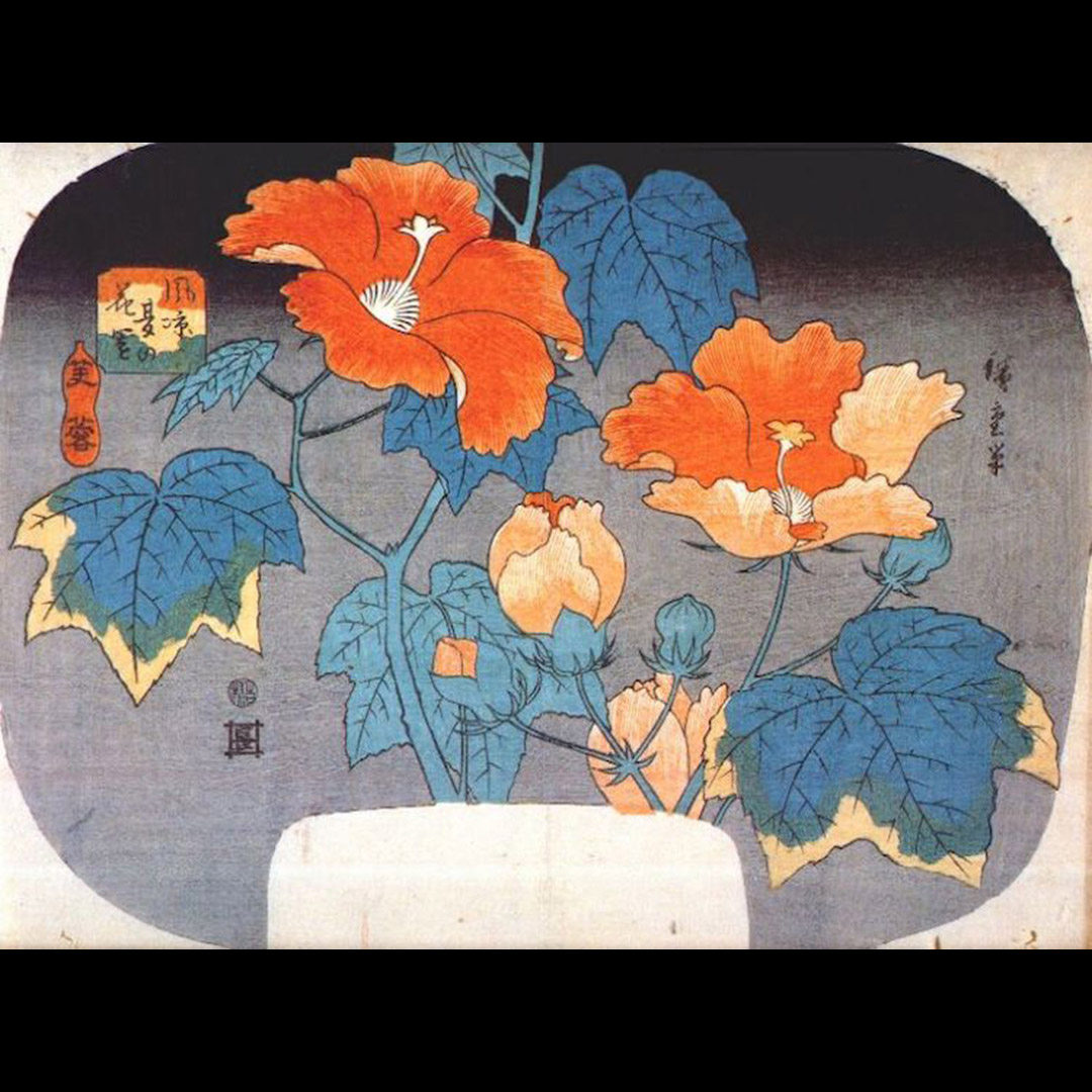 Hiroshige “Hibiscus”