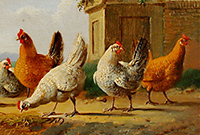 The Chicken in Art History