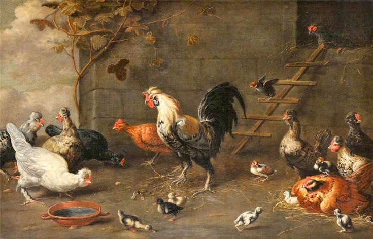 Hondecoeter “Poultry Outside a Hen House”