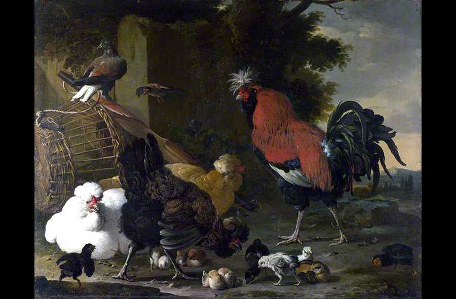 Roosters and Chickens in Art History: “A Cock, a Hen and Chicks” by Melchior de Hondecoeter