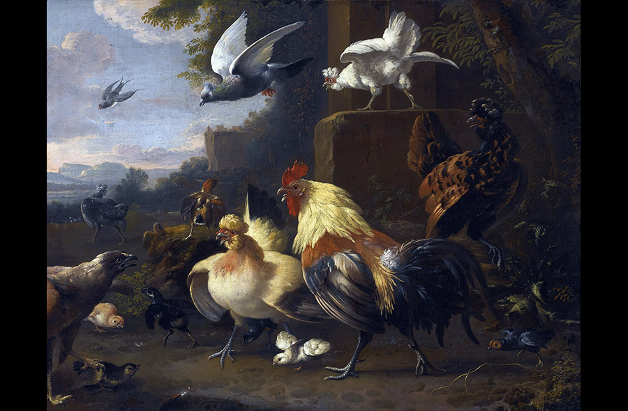 Roosters and Chickens in Art History: “An Eagle, a Cockerell, Hens and a Pigeon in Flight” by Melchior de Hondecoeter