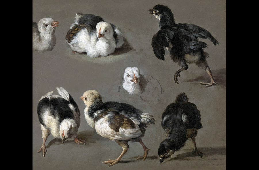 Roosters and Chickens in Art History: “Seven Chicks” by Melchior de Hondecoeter