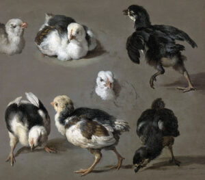 Roosters and Chickens in Art History: Melchior de Hondecoeter “Seven Chicks” Painting