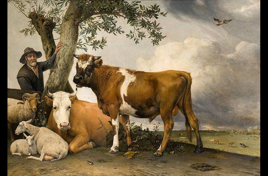 Farm Animals in Art History: Paulus Porter: “The Young Bull”