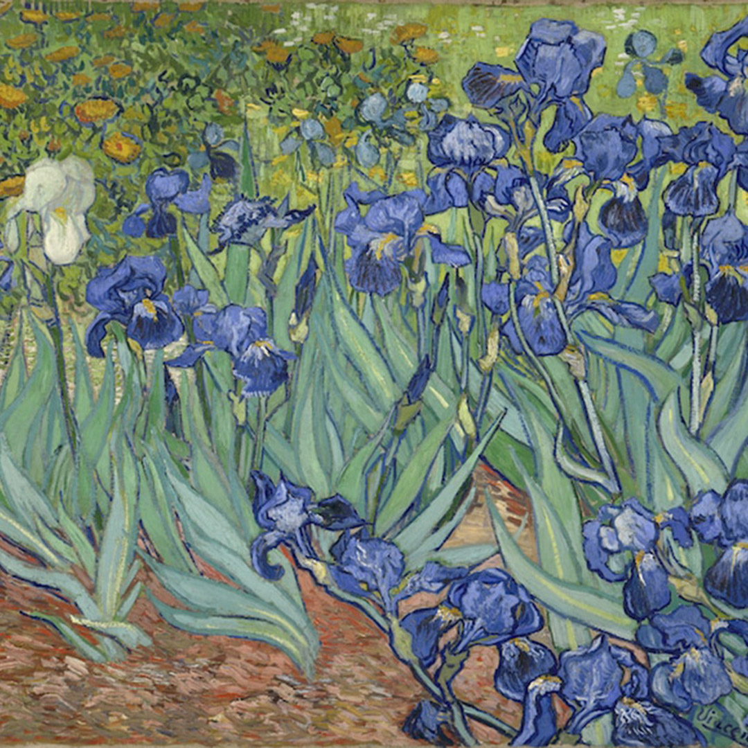 Vincent van Gogh “Irises”