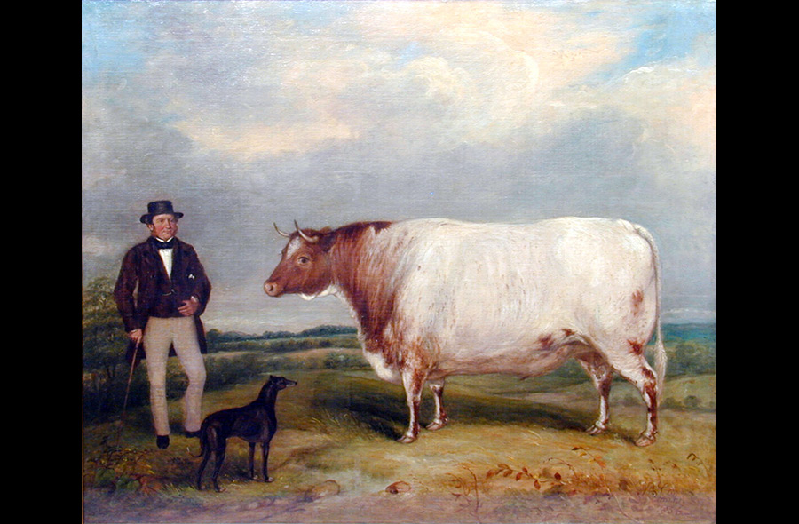 Farm Animals in Art History: William Smith: “The Champion Shorthorn”