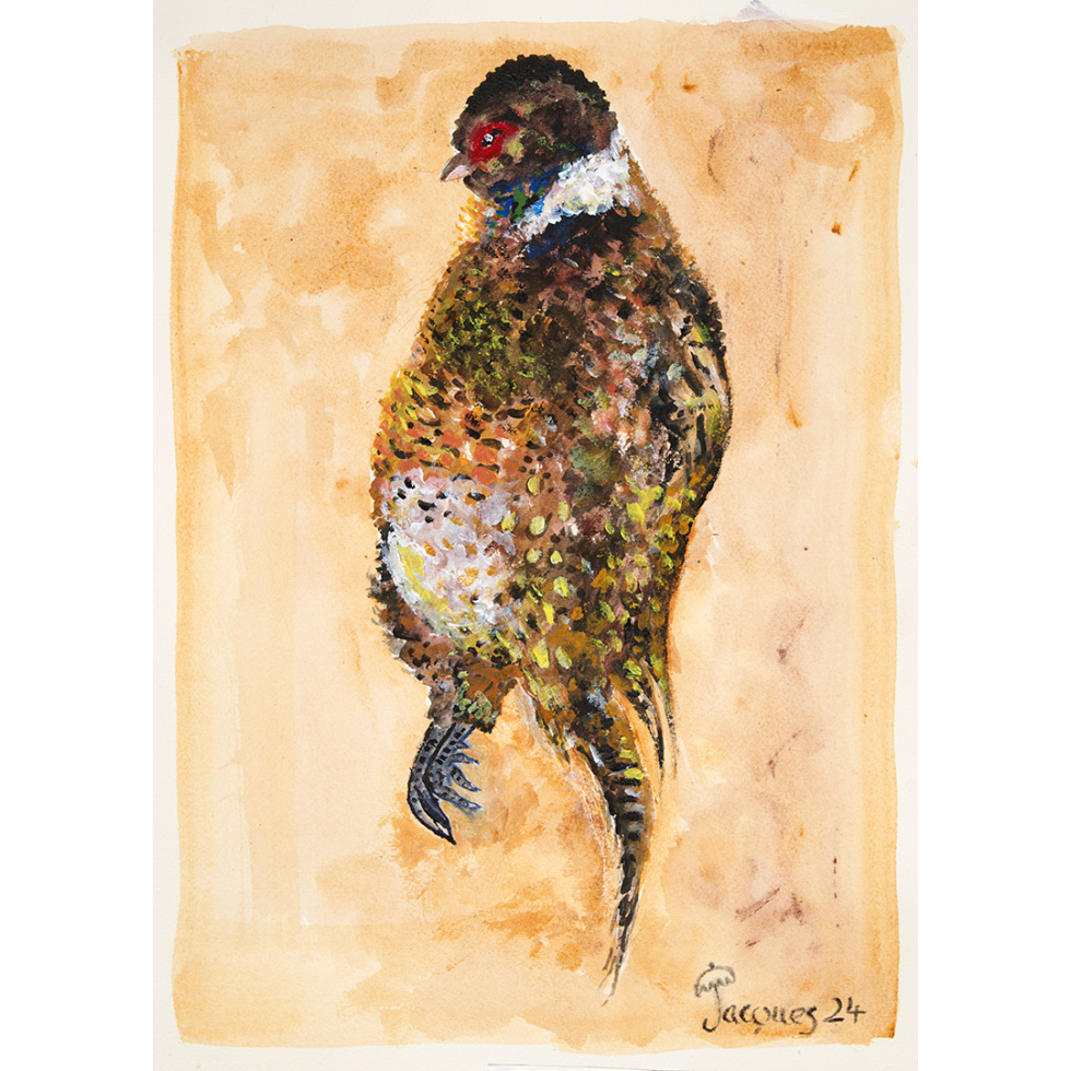 “Pheasant” Original Painting by Chef and Artist Jacques Pepin