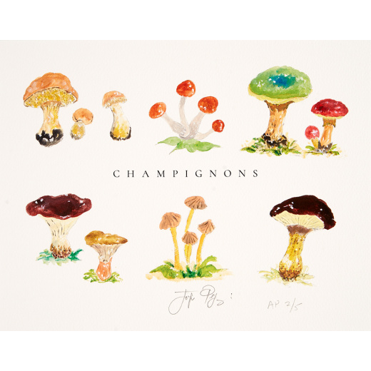 Jacques Pépin’s “Champignons” (Mushrooms) is an Artist’s Proof Pulled Before the Full Print Run.