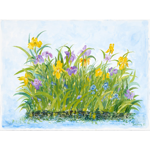 “Irises” Jacques Pepin Original Artwork Painting