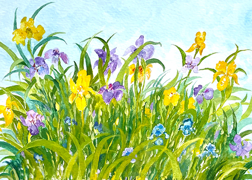 “Irises” is an Original Painting by Chef and Artist Jacques Pépin on “The Artistry of Jacques Pépin”