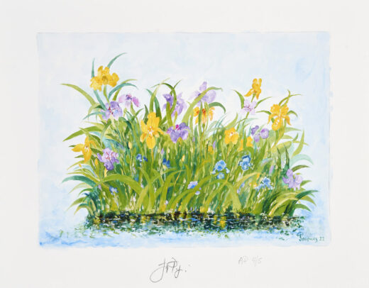 “Irises” Limited Edition Artist's Proof Signed and Numbered by Chef and Artist Jacques Pépin