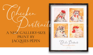 “Chicken Portraits” is a new print featuring four of Jacques Pépin’s small canvas paintings