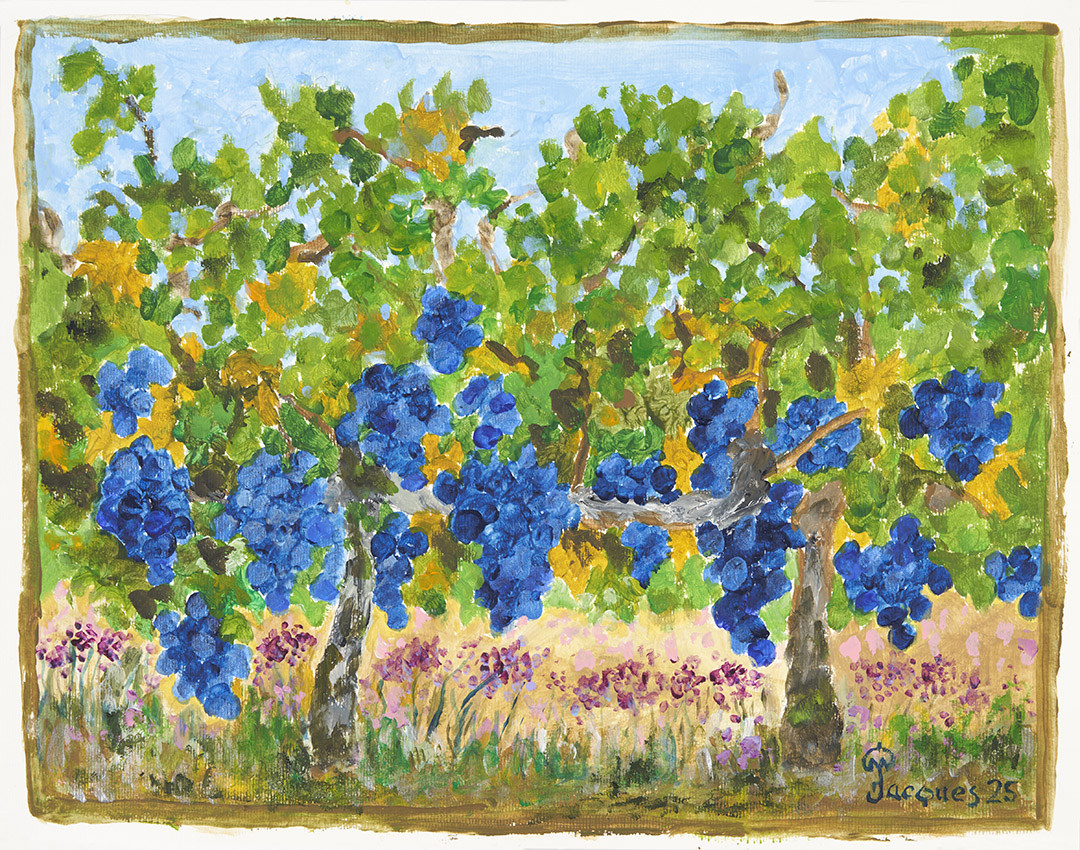 “Napa Valley” Jacques Pepin Original Painting