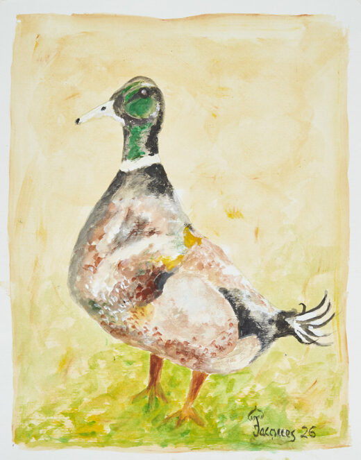 “Le Canard” Original Painting by Jacques Pepin