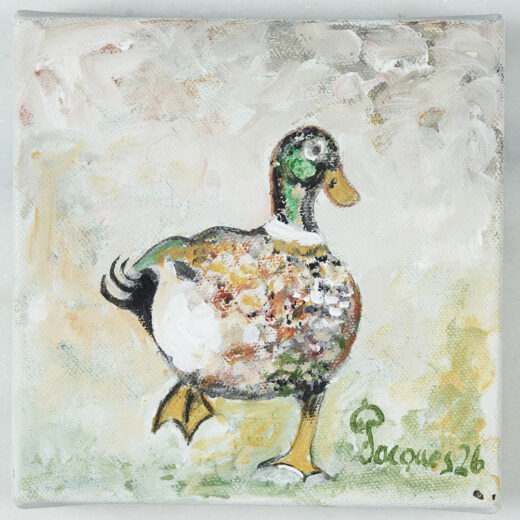 “Lively Duck” Small Canvas