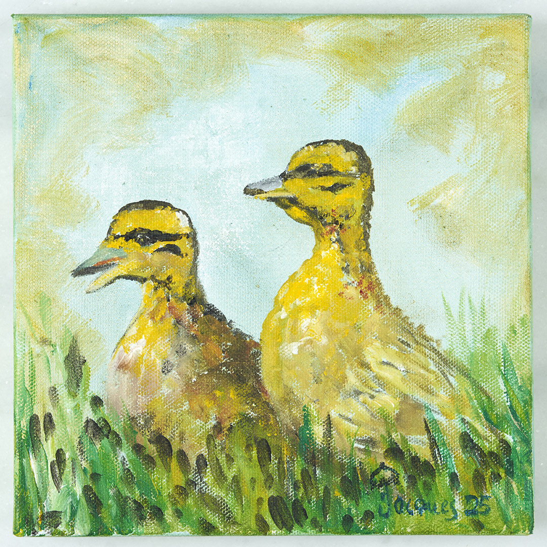 “Small Ducks” Original Painting by Chef and Artist Jacques Pépin
