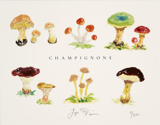 “Champignons” Limited Edition Signed Print Unframed